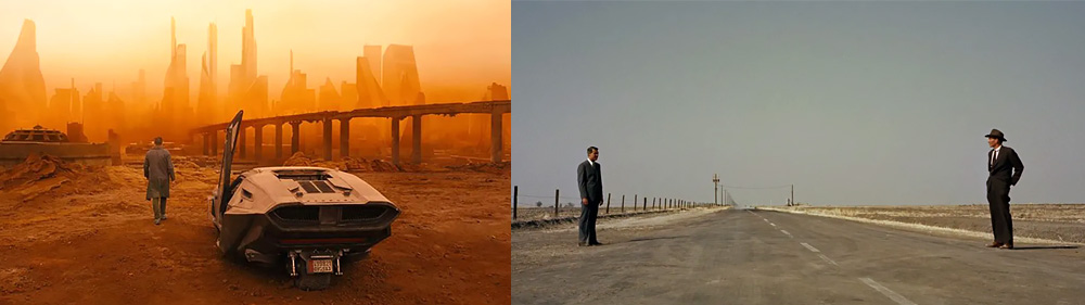 Long Shot Technique: Full body shot of the character or environment