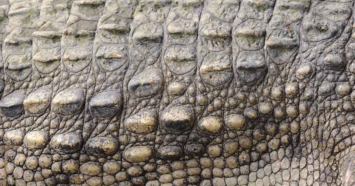 Using Real-World References for Believable Surfaces