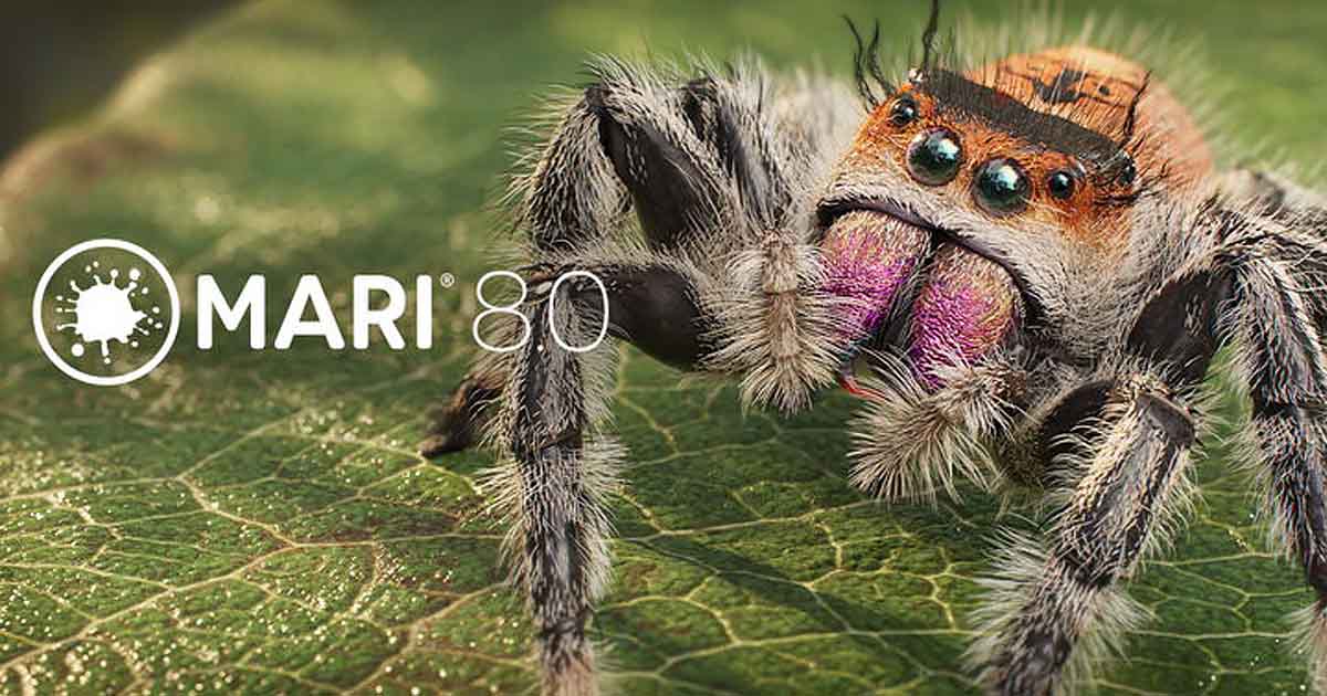 Foundry Mari 8.0 featuring a highly detailed textured spider